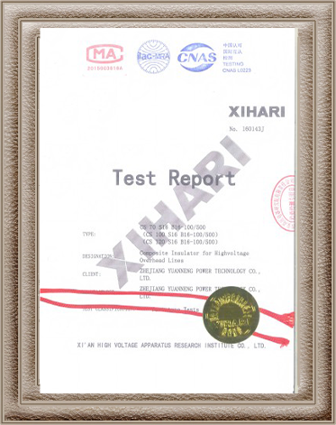 Suspension Insulator Test Report