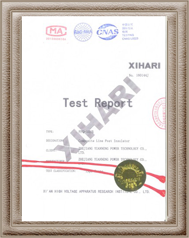 Pin Insulator Test Report