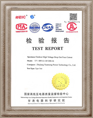 Fuse Cut Out Test Report