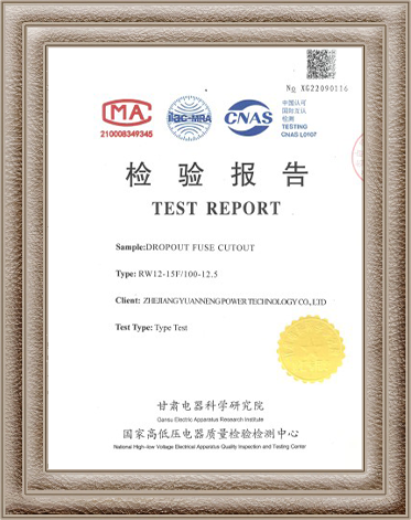 Fuse Cutout Test Report