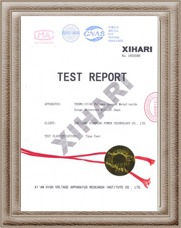 Arrester Test Report
