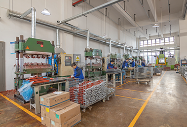 Vulcanization Workshop